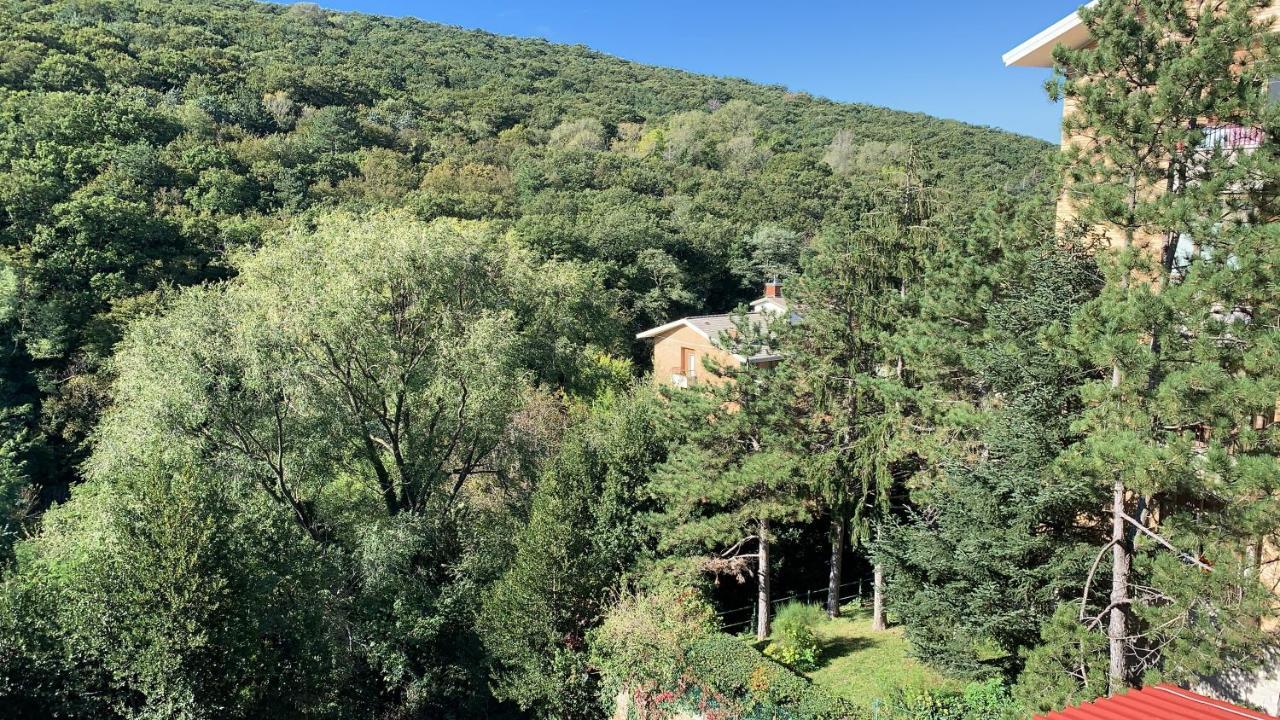 Al Bosco Incantato Trieste Exterior foto